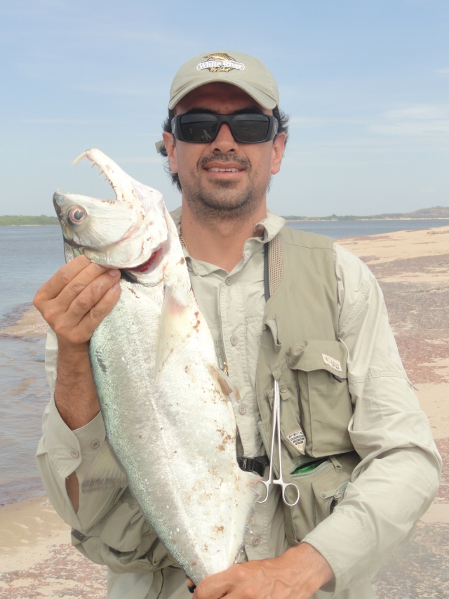Monster Payara