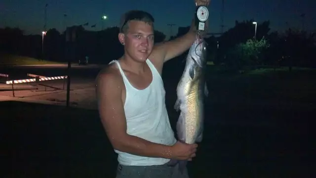 same 10 pounder