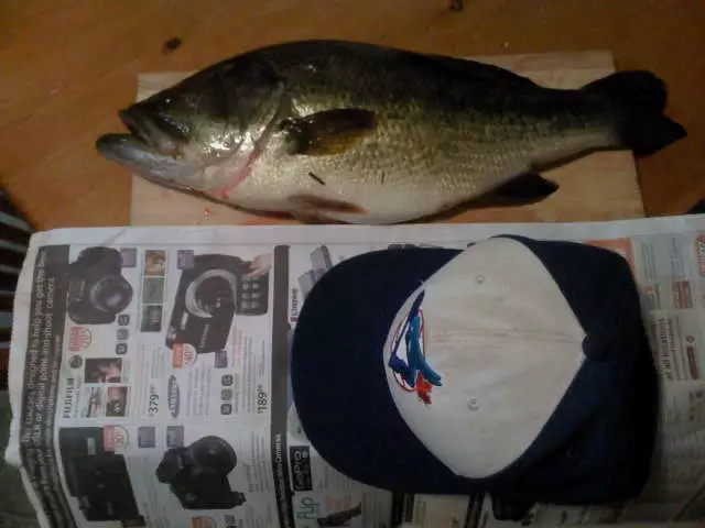 4.6lb, 20" largemouth  Newmarket,Ont, Canada!
