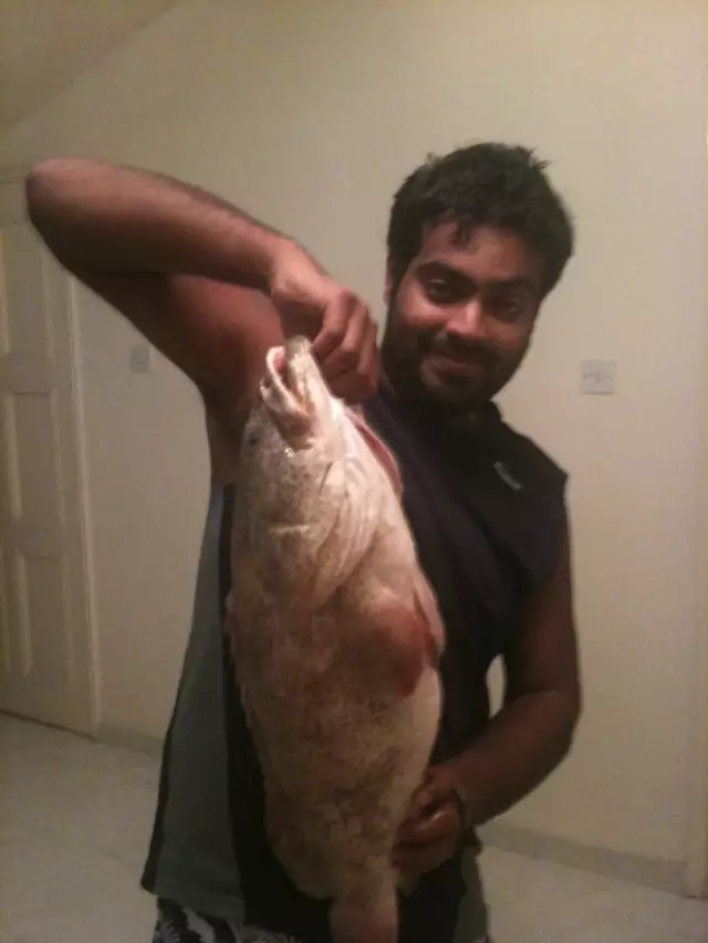 nice 7 kg hamoor