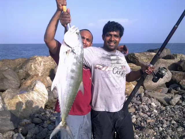 Queen Fish - 9 Kg