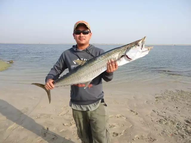 abu dhabi fishing