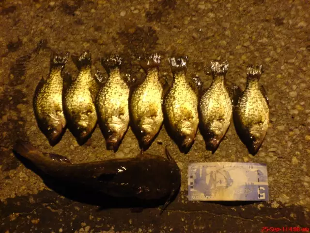 Rice Lake, Ontario