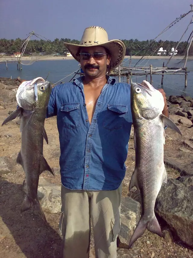 Threadfin salmon,munambam,kerala