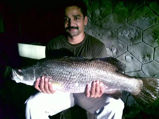 barra munambam,kerala