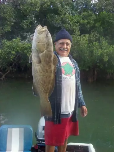 26" Skinny water Grouper