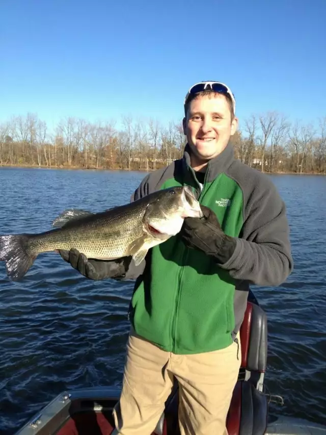 Fall Hog