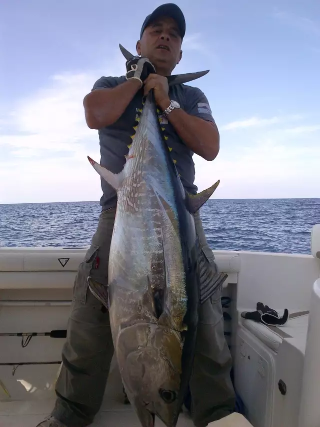 BFT jigging beirut 11/12/2011