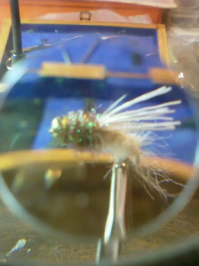 fly3