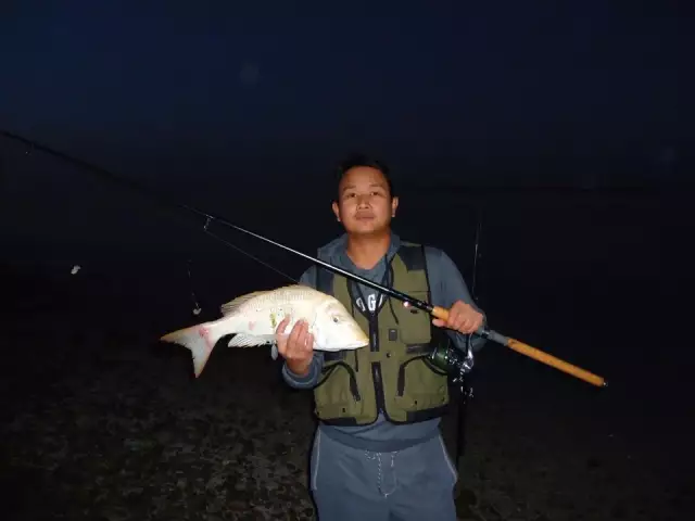 abu dhabi fishing