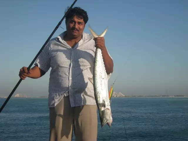 Kingfish UAE