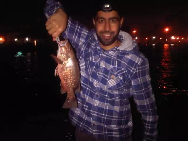 Night Fishing in Sharjah