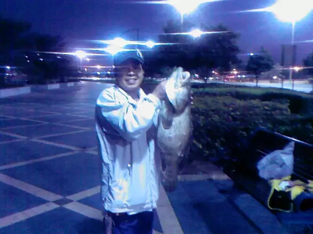 Abu Dhabi Corniche Fishing (30-December-2011)