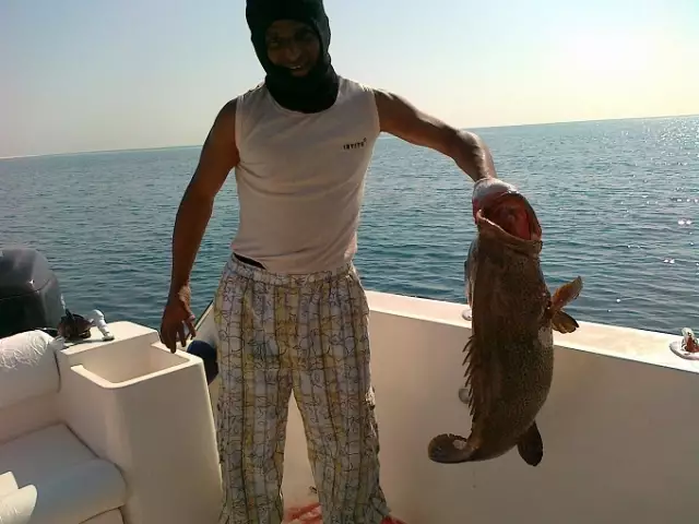 fishing in  abu dhabi