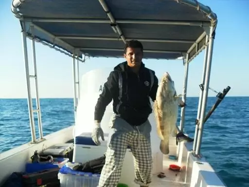fishing in  abu dhabi