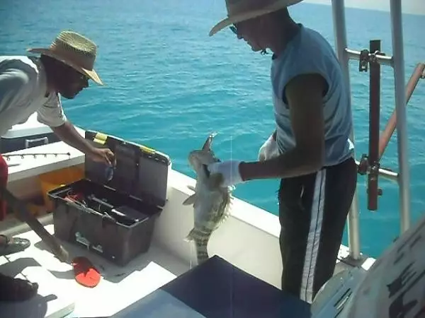 fishing in  abu dhabi