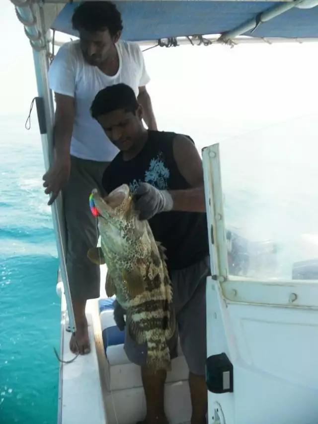 fishing in  abu dhabi