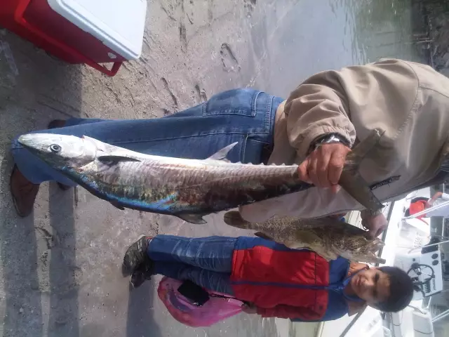 King fish