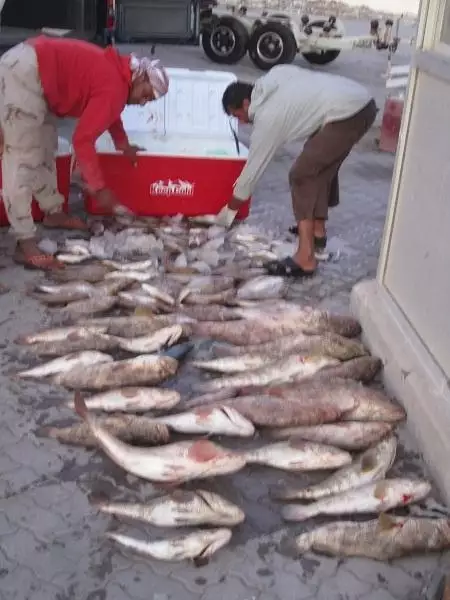 fishing in Abu dhabi