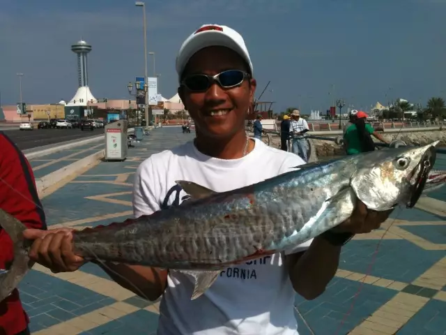 King Fish 3.8 kg, Marina Breakwater