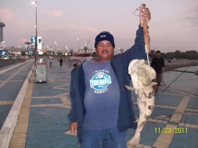 Hamour 4.8 kg, Marina Breakwater