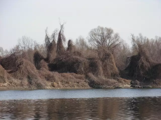 Danube Magic 8
