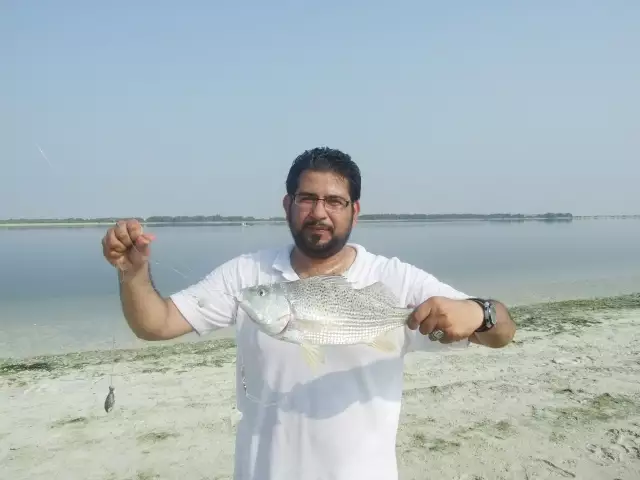 ICAD 3 Fishing