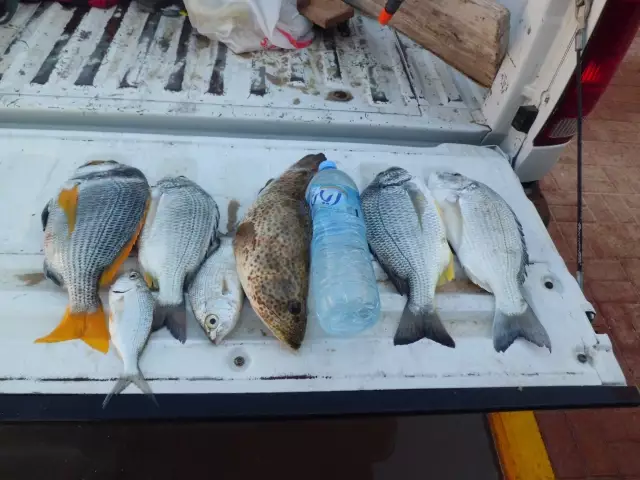 A great fishing night inland sea Udaid Qatar