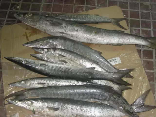 its 3 hour fishing