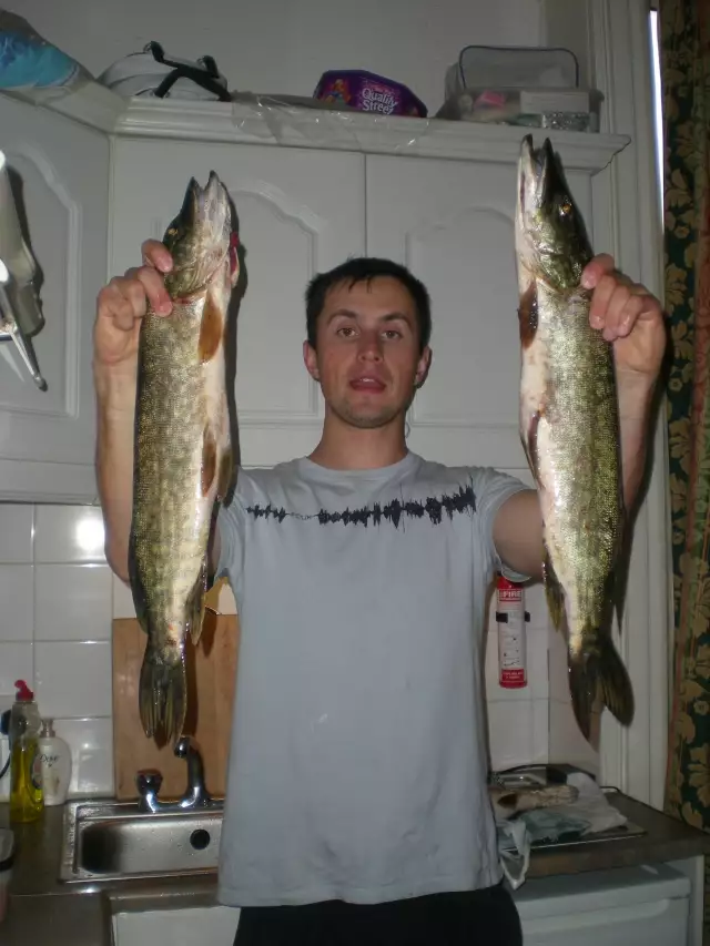 Fishing pike  in canal in Dublin...