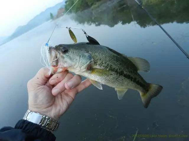 Lake Habin South Korea 2012-05-05