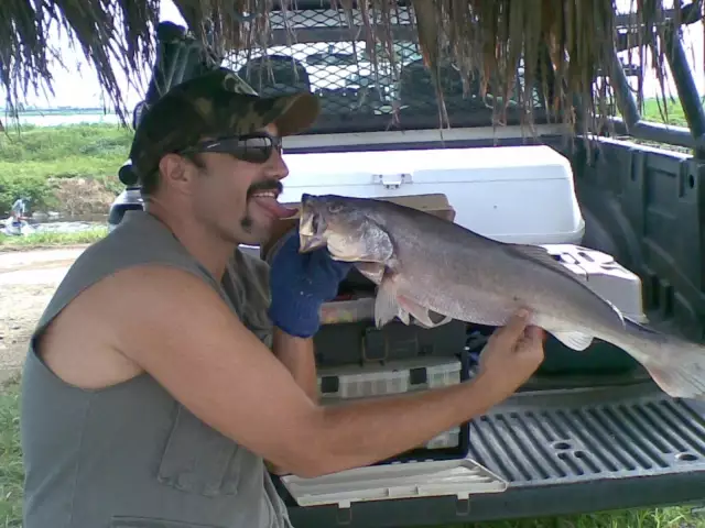 fish love