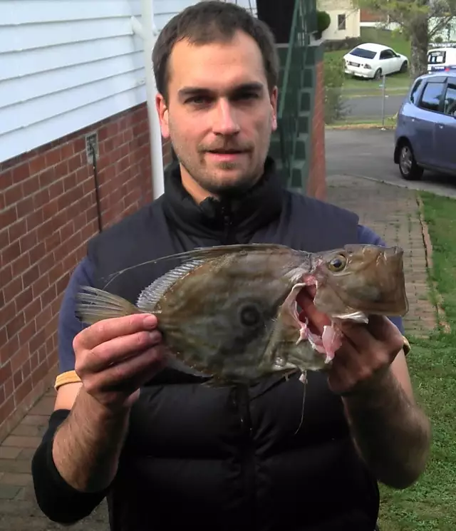 My first John Dory this year.