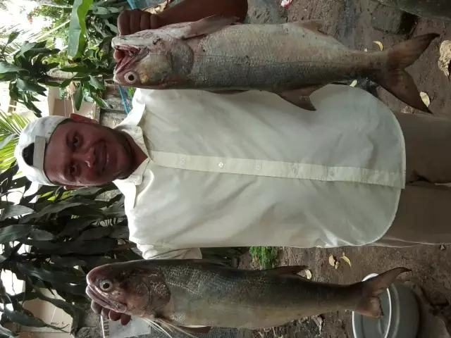 munambam fishing