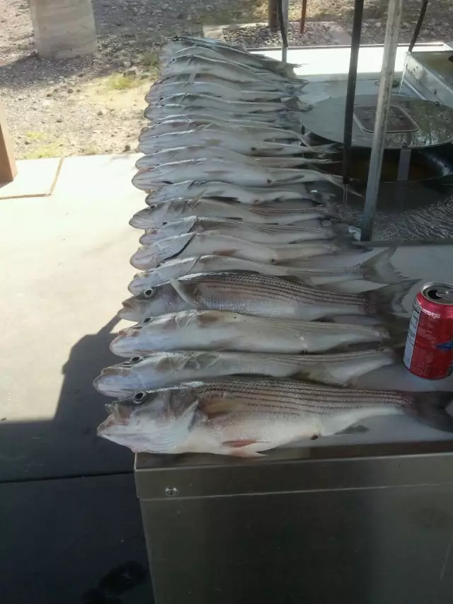 booyah & son 26, stripers 0, WE WIN !!