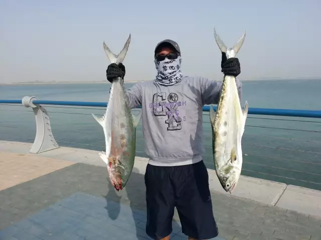 abu dhabi fishing