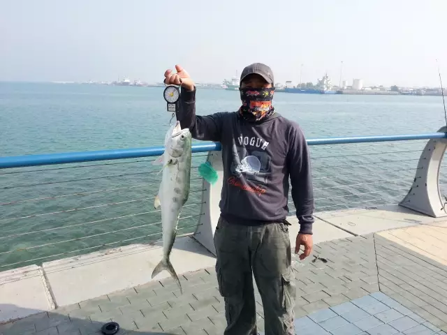 abu dhabi fishing