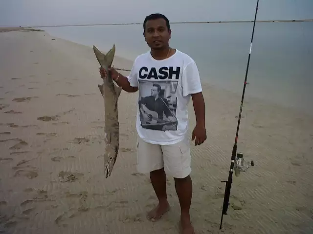 our first barracuda 4 Kg