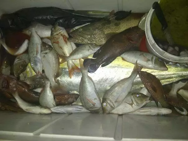 Deep sea Fishing - Abu Dhabi