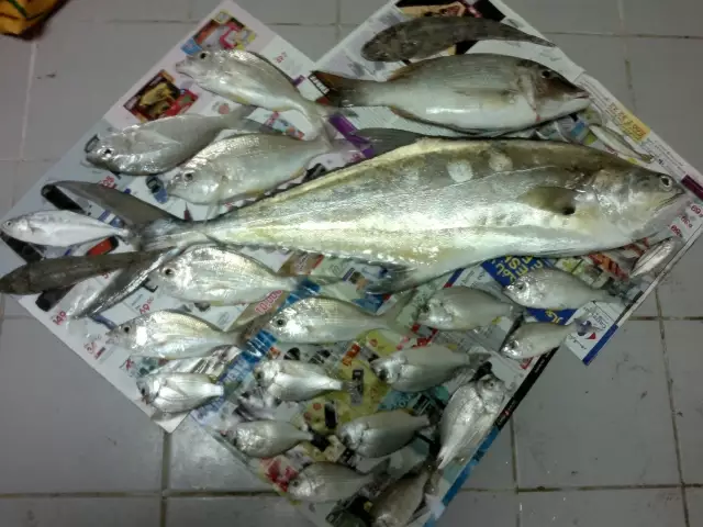 Queen fish with Sherry plus other smaller fish