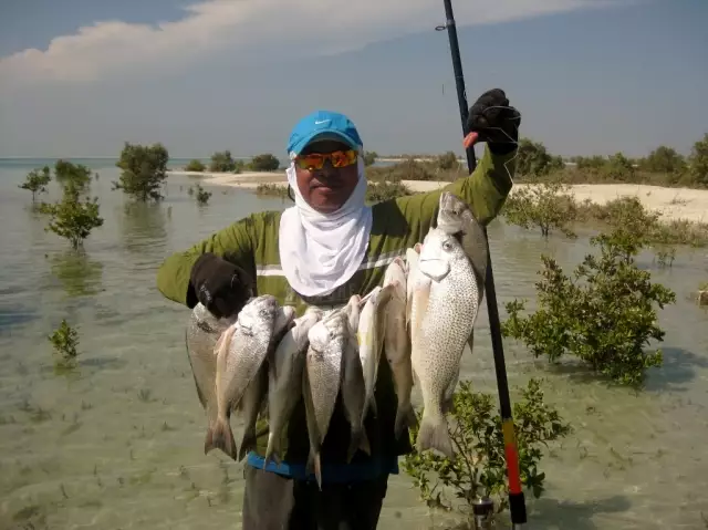 Fishing Mangroves 02 Nov 2012