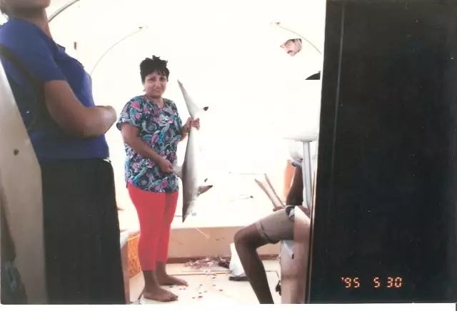 MY FIRST SHARK
