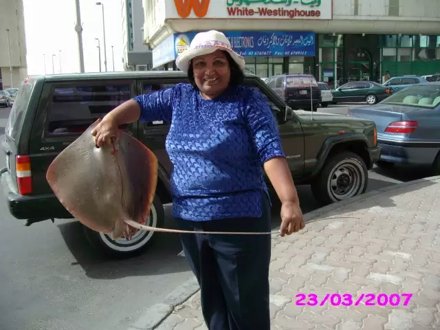 5 KG STINGRAY