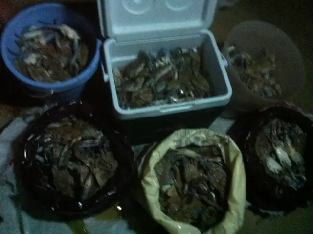 Nov. 08-2012 Crabbing @ Abu dhabi- 9:00pm