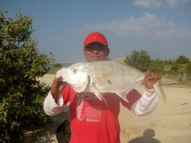 Fishing Mangroves 16 Nov 2012