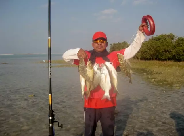 Fishing Mangroves 16 Nov 2012