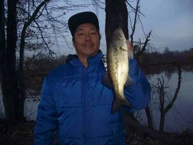 Largemouth Bass, 1 lbs 6 oz 15", Nov 15, 2012