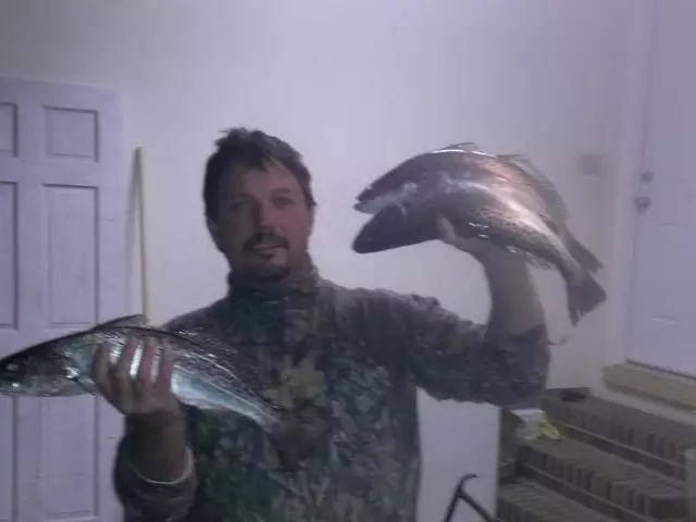 Specks from Va