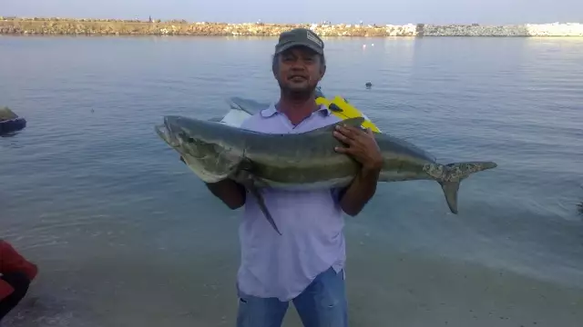 My first Cobia of the season 2012