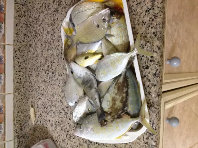 abu dhabi